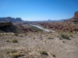 Moab-White Rim 4-08 079